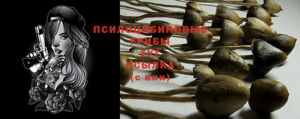 индика Осинники