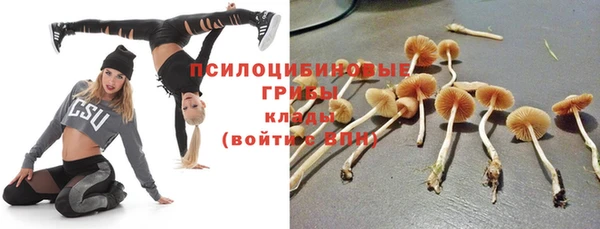альфа пвп Нязепетровск