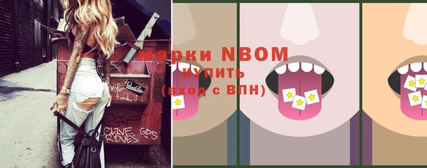 индика Осинники