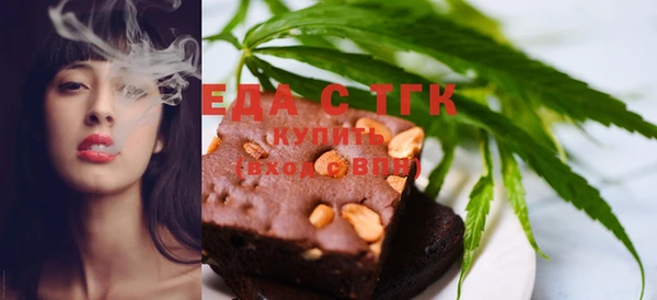 индика Осинники