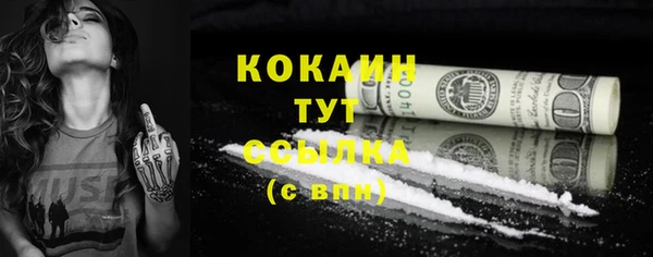 индика Осинники