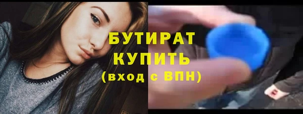 индика Осинники