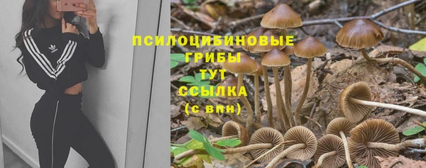 мдма Нягань