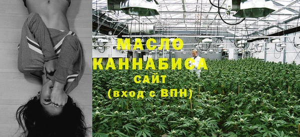 дмт Осташков