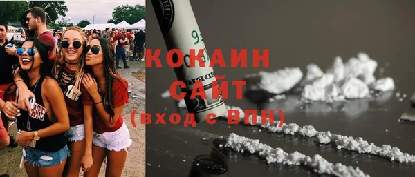 индика Осинники