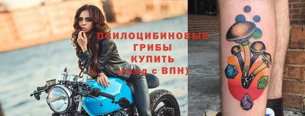 дмт Осташков