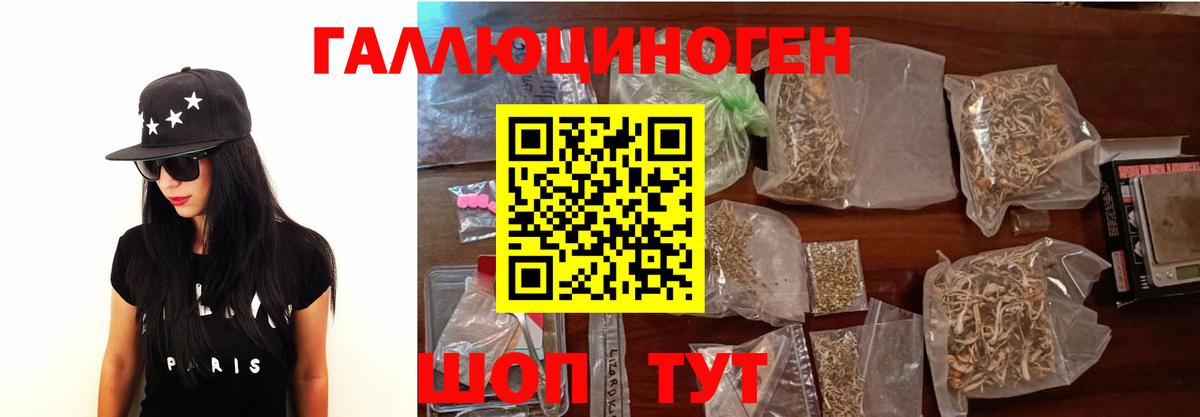 Галлюциногенные грибы Psilocybine cubensis  где продают   Вход с VPN  Серов  Псилоцибиновые грибы прущие грибы 
